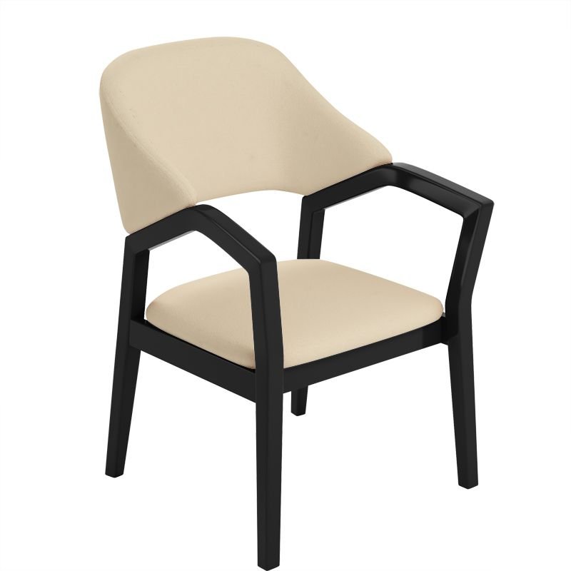Balanced Bordered Arm Chair for Dining Room, Black, Apricot