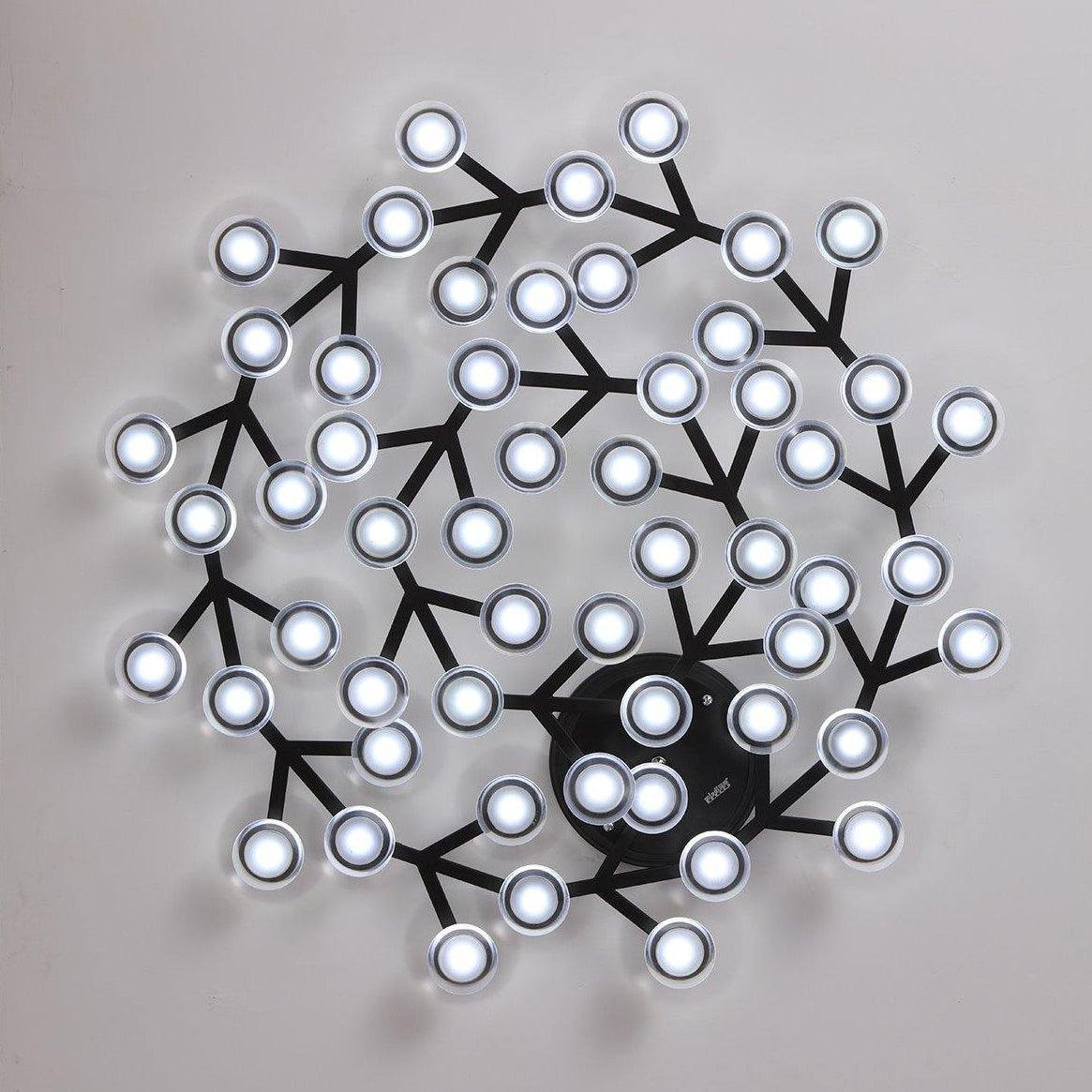 Black LED Net Ceiling Wall Lamp with 54 Round Heads in Warm White.