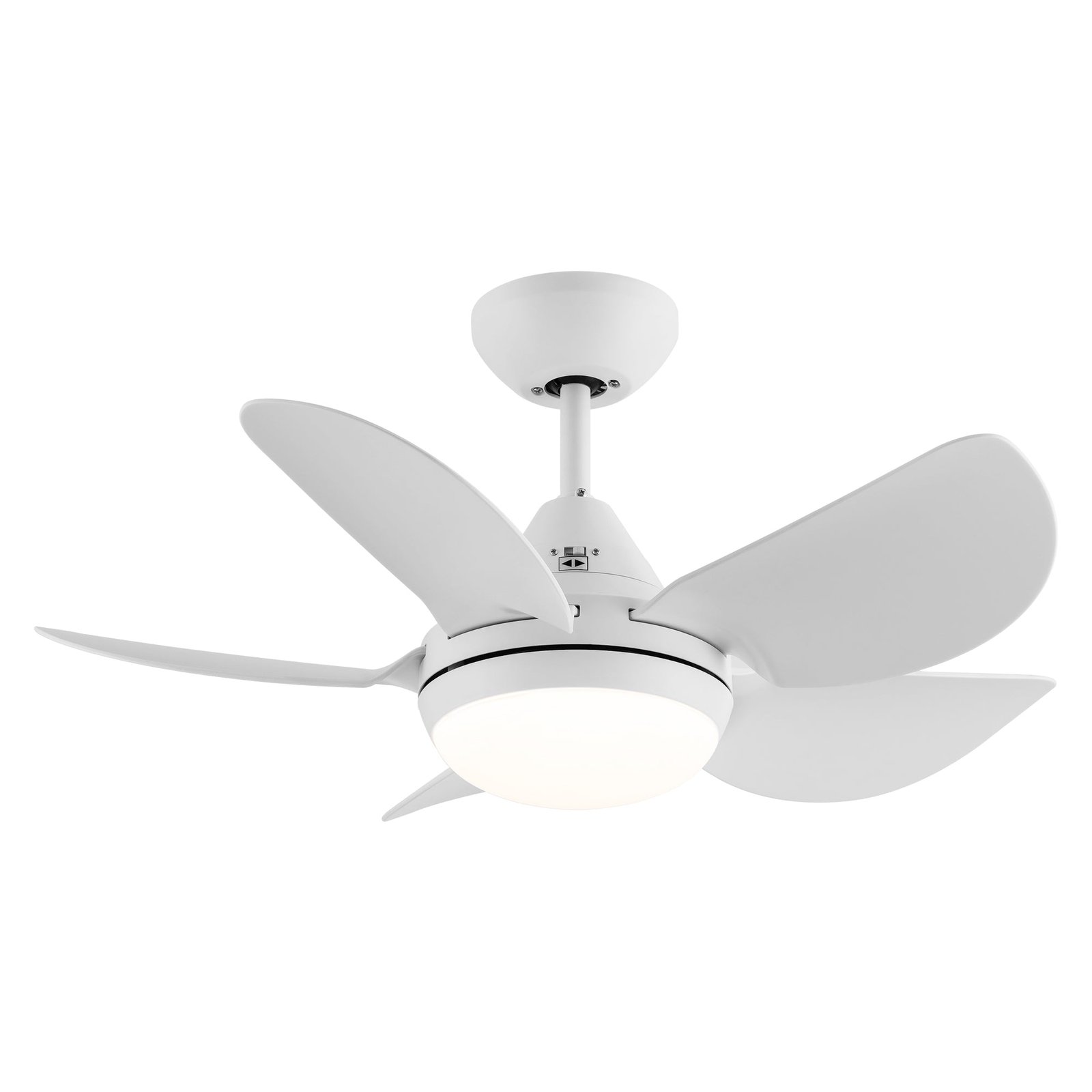 Ceiling Fan Light with Remote Control - Vox 38 Inches (30 Inch Diameter x 13.8 Inch Height) - White - 110V